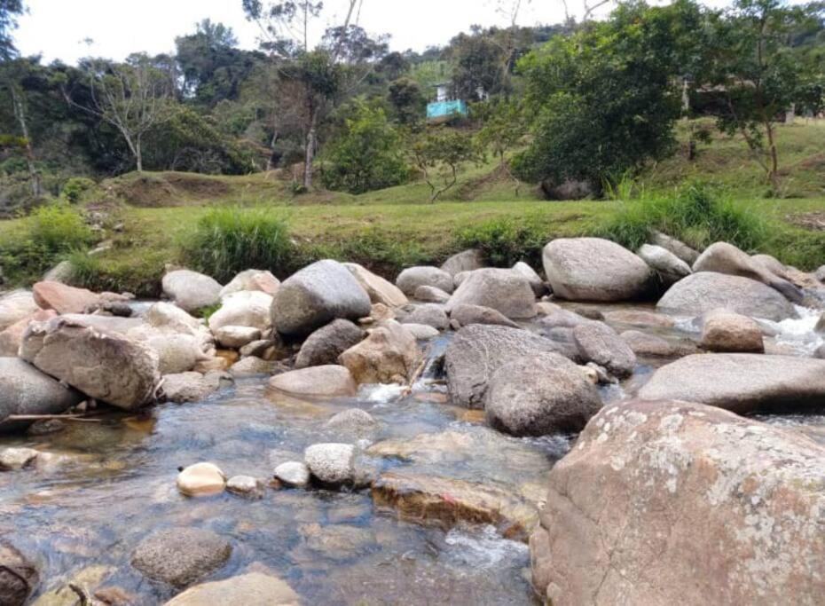 Holiday home El Jardin Concepcion