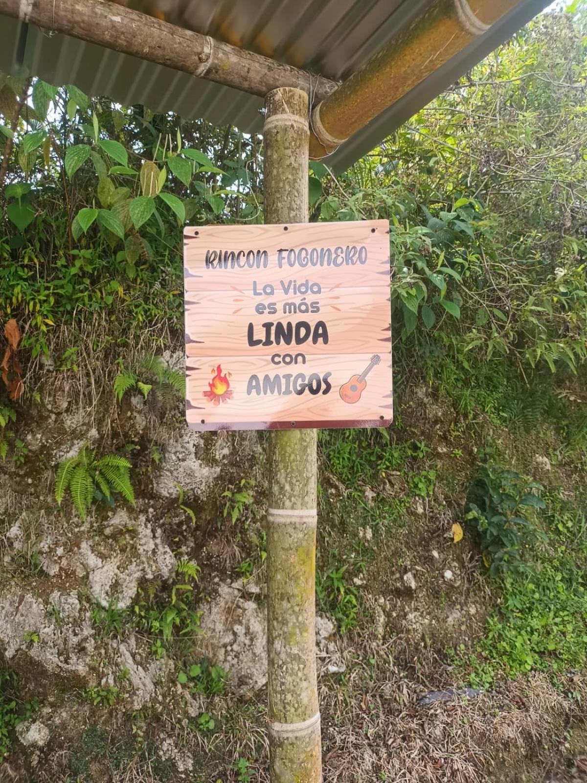 El Jardin Concepcion